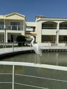 Pickalbatros Dana Beach Resort - Hurghada - 80