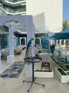 The Retreat Palm Dubai MGallery by Sofitel - 46