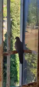 Tourist Antalya - 81