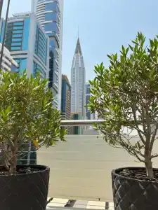 Towers Rotana - Dubai - 20