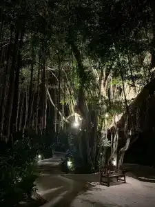 Sheraton Samui Resort - 15