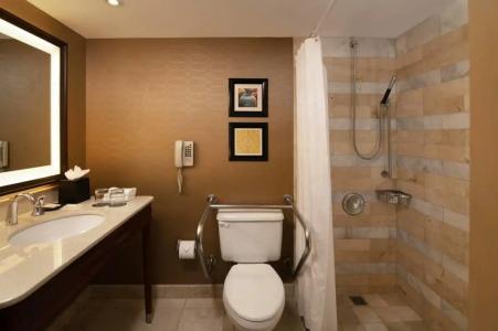 Crowne Plaza Santo Domingo, an IHG - 84