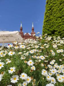 Kremlin Palace - 15
