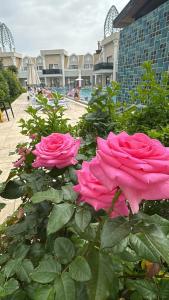 Granada Luxury Belek - Family Kids Concept - 15