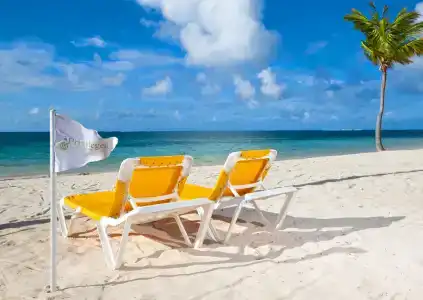 Catalonia Punta Cana - Все включено - 19