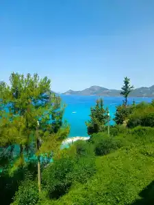 Liberty Lykia Adults Only - 96