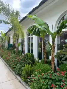 Corendon Playa Kemer - 56