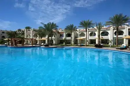 Falcon Naama Star - 14