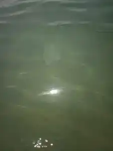 Palm Wings Kusadasi Beach Resort&Spa - 79