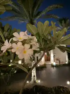 Hilton Ras Al Khaimah Beach Resort - 45