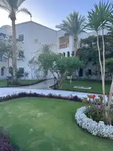 Steigenberger Alcazar - 68