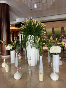 Novotel World Trade Centre Dubai - 53