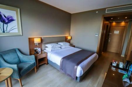 Holiday Inn Bursa - City Centre, an IHG - 80