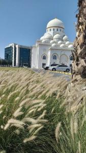 Ibis Styles Dubai Jumeira - 21