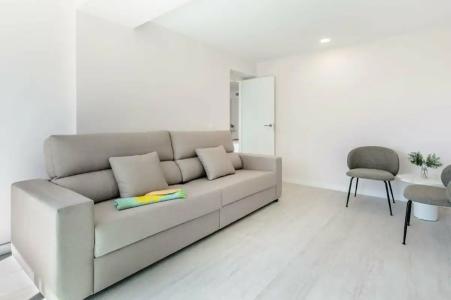 Vibra Palma Cactus - 99