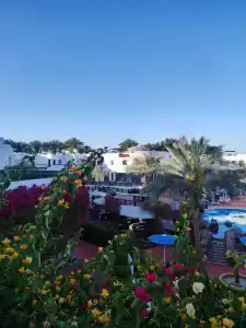 Verginia Sharm Resort & Aqua Park - 91