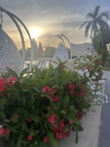 Ivy Cyrene Island Resort - 36