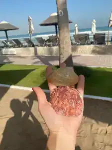 Occidental Sharjah Grand - 81