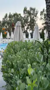 Royal Holiday Palace - 35