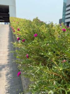 Golden Tulip Sovereign Bangkok - 23