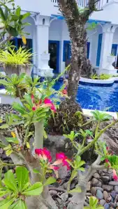Andaman Seaview, Karon Beach - SHA Plus - 14