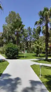 Loxia Comfort Resort Kemer - 89