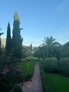 Iberostar Bellevue - 95