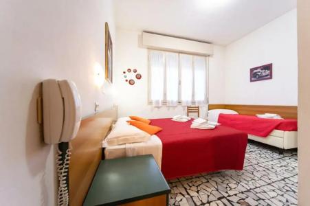 Cortina - 17