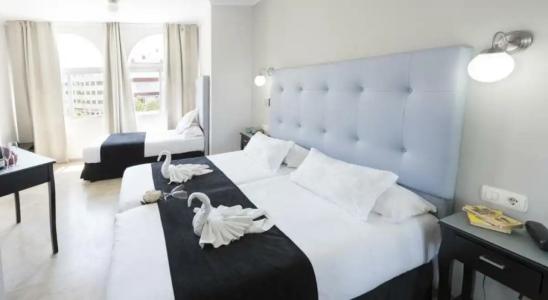 Toboso Chaparil - 65