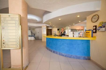 Vibra Palma Cactus - 49