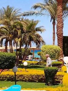 Sand Beach Resort - 64
