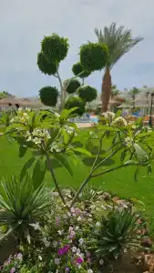 Labranda Club Makadi - 59