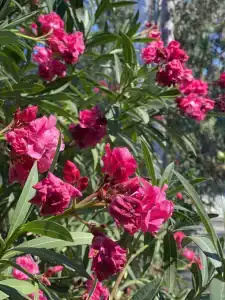 Crystal Sunset Luxury Resort & Spa - Ultimate All Inclusive - 87