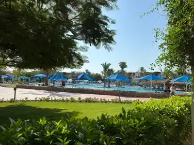 Desert Rose Resort - 35