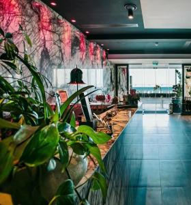 The Ciao Stelio Deluxe (Adults Only) - 79