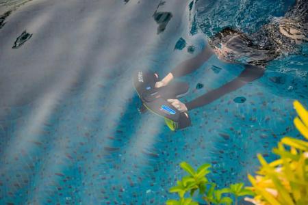 Royal Cliff Beach Terrace - SHA Extra Plus - 73