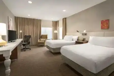 Hilton Garden Inn Flagstaff