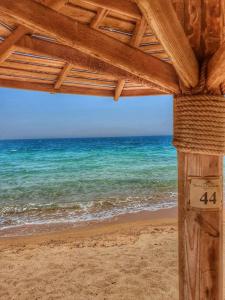 Palm Beach Resort Families and Couples only - 54