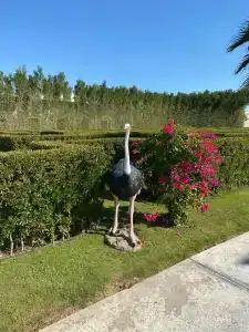 Rixos Premium Magawish Suites and Villas- Ultra All-Inclusive - 25