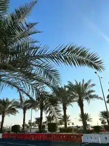 Hampton By Hilton Marjan Island - 36