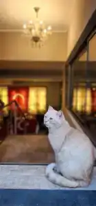 Ambassador Plaza - 27