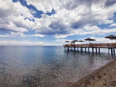 Assos Barbarossa - Special Category - 20