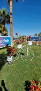 Club Reef Resort & Spa - 43