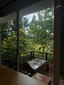Phangan Akuna - 27