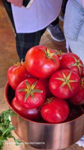 Mövenpick Resort & Spa Tala Bay Aqaba - 67