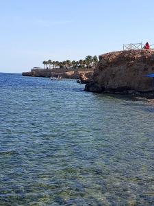Club Reef Resort & Spa - 16