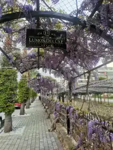 The Lumos Deluxe Resort & Spa - 72