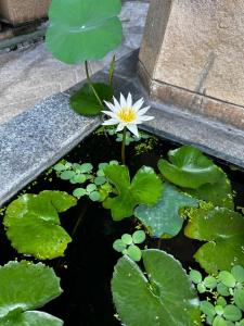 Baramee Resortel - 9