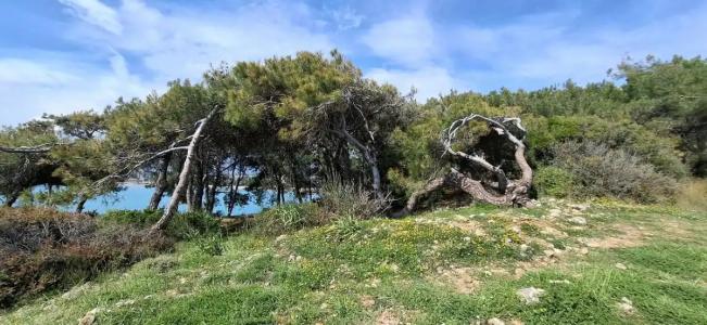 Justiniano Deluxe Resort - 32