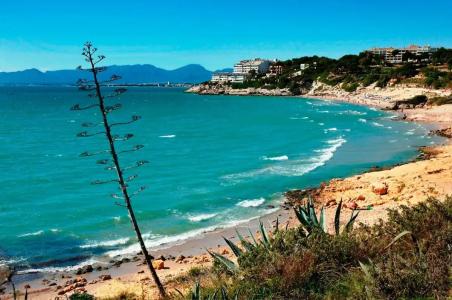 Ohtels Villa Dorada - 9